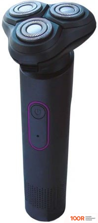 Электроприборы-БЭМЗ БЕРДСК 3384А (321085)