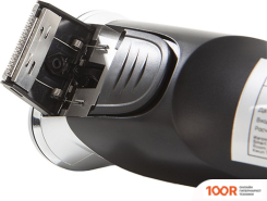 Pioneer BS005 (320925)