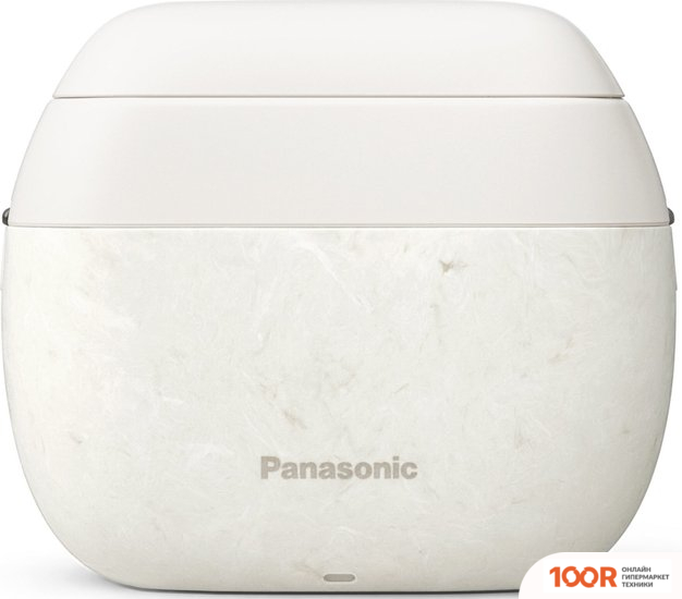 Panasonic ES-PV6B (320791)