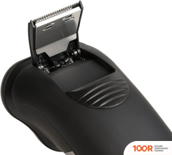 Lafe GLR001 (320757)