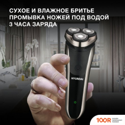 Hyundai H-SH8081 (320739)