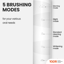 Oclean FLOW SONIC ELECTRIC TOOTHBRUSH (2 НАСАДКИ, БЕЛЫЙ) (319655)