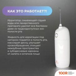 Evolution WF-01 + ЭЛЕКТРИЧЕСКАЯ ЗУБНАЯ ЩЕТКА ENCHEN T501 (СЕРЫЙ) (319509)