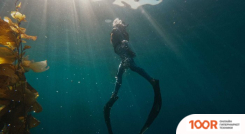 GoPro HERO11 BLACK MINI (319266)