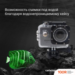Digma DICAM 180 (СЕРЫЙ) (319236)