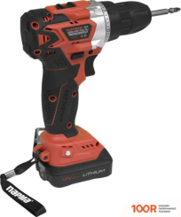 Парма ДША-02А-1512/2LI 02.021.00014 (С 2-МЯ АКБ, КЕЙС) (319136)