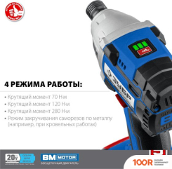 Зубр ПРОФЕССИОНАЛ GVB-250-22 (С 2-МЯ АКБ, КЕЙС) (319030)