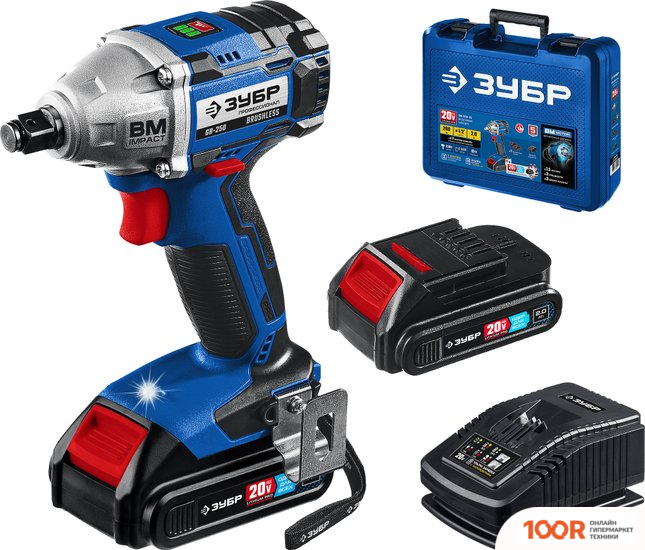 Зубр ПРОФЕССИОНАЛ GB-250-22 (С 2-МЯ АКБ, КЕЙС) (319026)