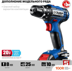 Зубр ПРОФЕССИОНАЛ DL-201-42 (С 2-МЯ АКБ, КЕЙС) (319024)