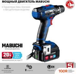 Зубр ПРОФЕССИОНАЛ DL-201-42 (С 2-МЯ АКБ, КЕЙС) (319024)