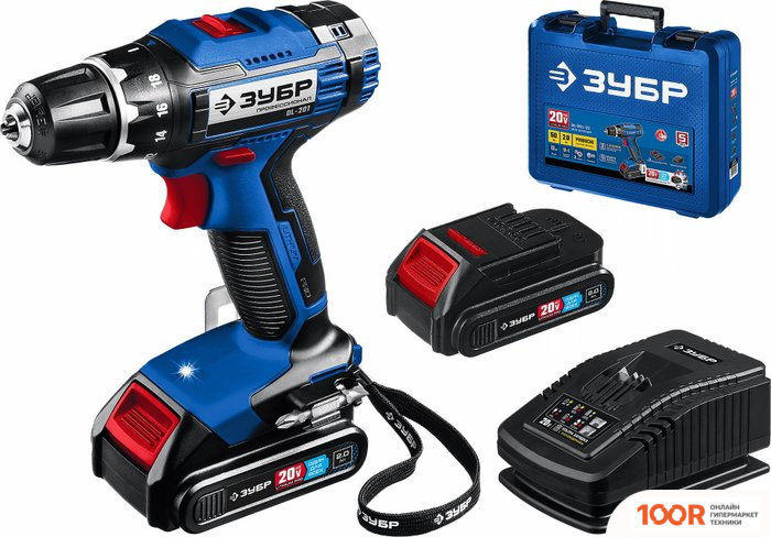 Зубр ПРОФЕССИОНАЛ DL-201-22 (С 2-МЯ АКБ 2 АЧ, КЕЙС) (319023)