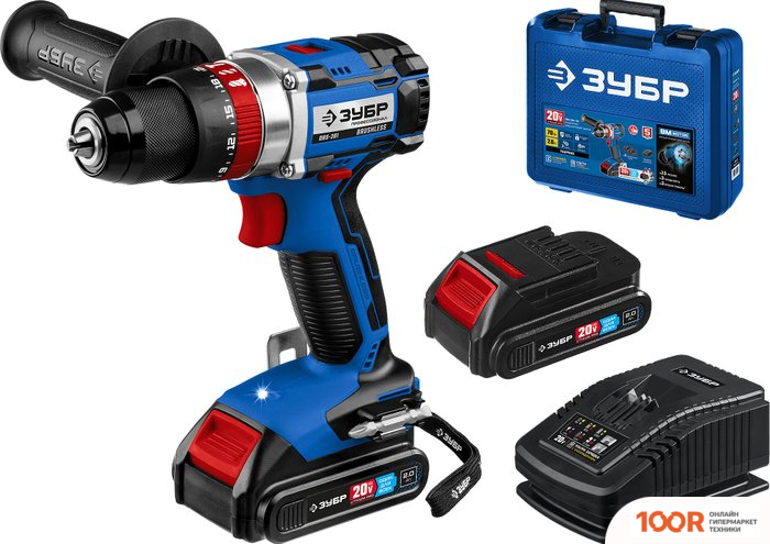 Зубр ПРОФЕССИОНАЛ DBS-201-22 (С 2-МЯ АКБ, КЕЙС) (319017)