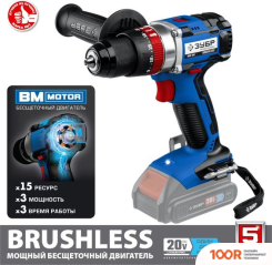 Зубр ПРОФЕССИОНАЛ DBS-201 (БЕЗ АКБ) (319016)