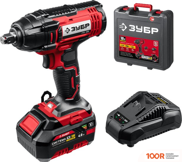 Зубр МАСТЕР ГУЛ-255-41 (С 1-М АКБ, КЕЙС) (318999)