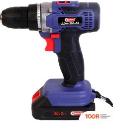 ДИОЛД ДЭА-20Л-01 (С 2-МЯ АКБ, КЕЙС) (318962)