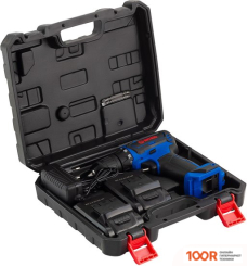 Витязь ДА-318-2 (С 2-МЯ АКБ, КЕЙС) (318907)