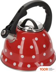 Redbo OAW-20/1000PBL (С 1-ИМ АКБ, КЕЙС) (318366)