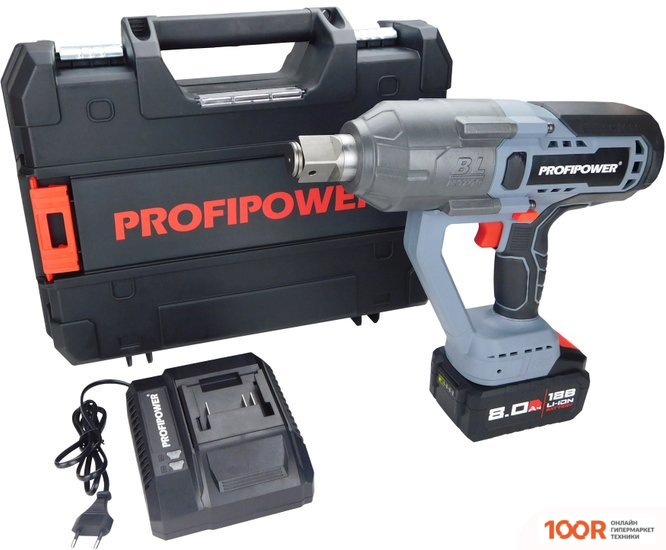 Profipower T-2500N (С 1-ИМ АКБ, КЕЙС) (318359)