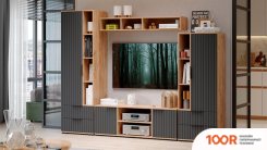 Profipower MKDTW-18B E0163 (БЕЗ АКБ) (318356)