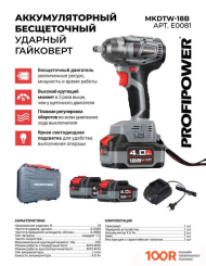 Profipower MKDTW-18B E0081 (С 2-МЯ АКБ, КЕЙС) (318355)