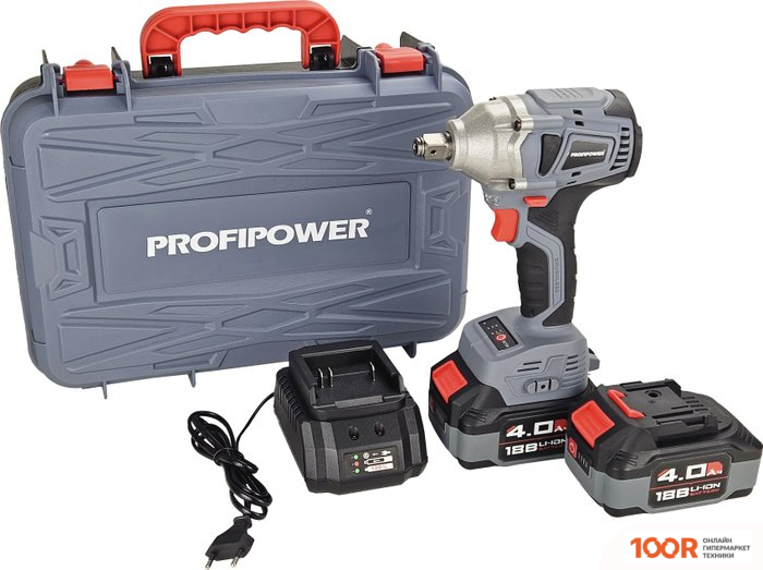 Profipower MKDTW-18B E0081 (С 2-МЯ АКБ, КЕЙС) (318355)