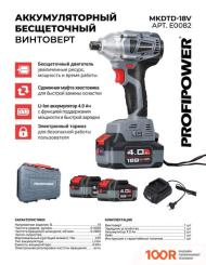 Profipower MKDTD-18V (С 2-МЯ АКБ, КЕЙС) (318354)