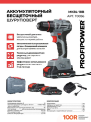 Profipower MKBL-18B (С 2-МЯ АКБ, КЕЙС) (318348)