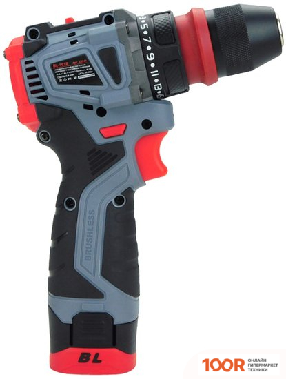 Profipower BL-161B (С 2-МЯ АКБ, КЕЙС) (318343)