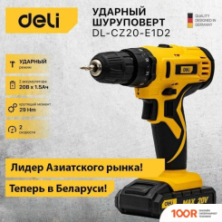 Deli DL-CZ20-E1D2 102883 (С 2-МЯ АКБ, КЕЙС) (316999)