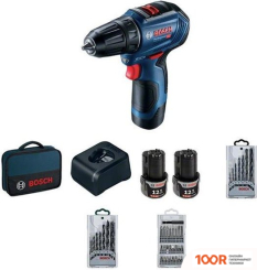 Bosch GSR 12V-30 PROFESSIONAL 06019G9001 (С 2-МЯ АКБ, СУМКА, НАБОР ОСНАСТКИ) (316616)