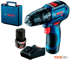Bosch GSB 12V-30 PROFESSIONAL 06019G9100 (С 2-МЯ АКБ, КЕЙС) (316584)