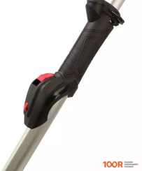 Schtaer 5000 BF (315845)