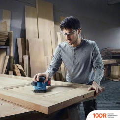 Bosch GEX 185-LI PROFESSIONAL 06013A5020 (БЕЗ АКБ) (315288)