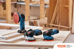 Bosch GEX 12V-125 PROFESSIONAL 0601372101 (БЕЗ АКБ) (315287)