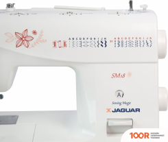 Jaguar SM18 (315043)