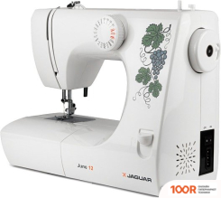 Jaguar JUNE 12 (315031)