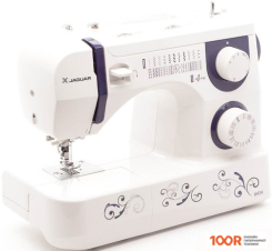 Jaguar 6434 (315015)