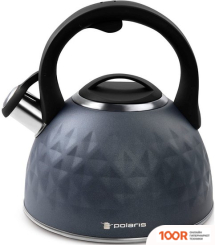 Polaris KONTUR-3L (314587)