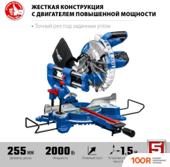 Зубр ПРОФЕССИОНАЛ ППТ-255-П (314303)