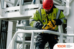 DeWalt DCS367H2T (С 2-МЯ АКБ, КЕЙС) (313496)