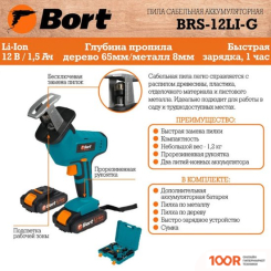 Bort BRS-12LI-G 93410167 (С 2-МЯ АКБ, КЕЙС) (313326)