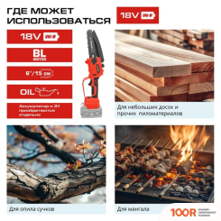 Ставр SCS 18BL-15 (БЕЗ АКБ) (313251)