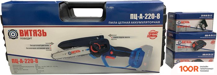 Витязь ПЦ-А-220-8 SET0000060 (С 2-МЯ АКБ, КЕЙС) (313166)