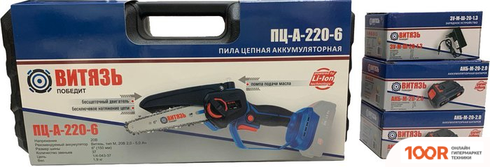 Витязь ПЦ-А-220-6 SET0000059 (С 2-МЯ АКБ, КЕЙС) (313164)