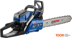 Витязь БП- 45-3.0 18023007 (313153)