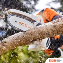 STIHL GTA 26 SET 25СМ (С 1-ИМ АКБ) (313042)