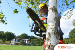 Ryobi RCS18X3050F 5133003830 (С 1-ИМ АКБ) (312980)