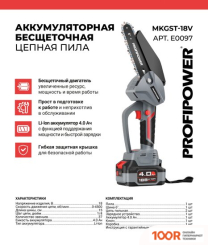 Profipower MKGST-18V (С 1-ИМ АКБ) (312958)