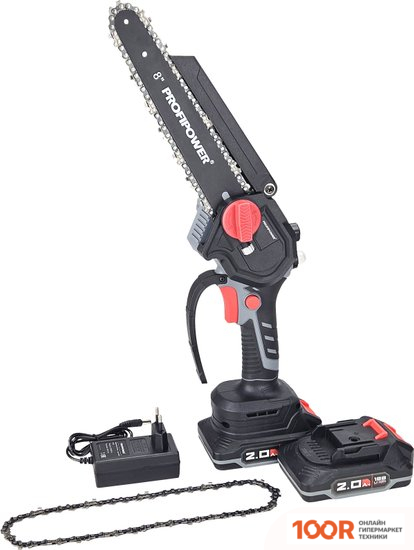 Profipower MKGSH-18V (С 2-МЯ АКБ) (312956)