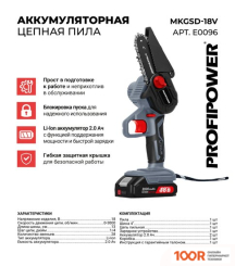 Profipower MKGSD-18V (С 2-МЯ АКБ) (312955)
